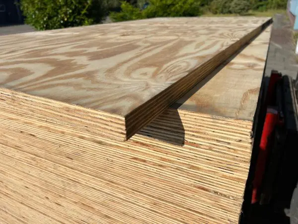 Underlayment 40mm 250x125cm - Elliottis Pine - rechte kanten (SQE) - Afbeelding 3