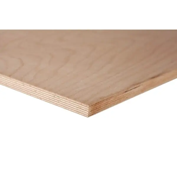 Multiplex beuken 10mm 250x122cm - onbehandeld - B/BB - Afbeelding 2